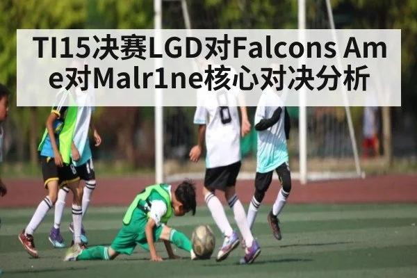 TI15决赛LGD对Falcons Ame对Malr1ne核心对决分析